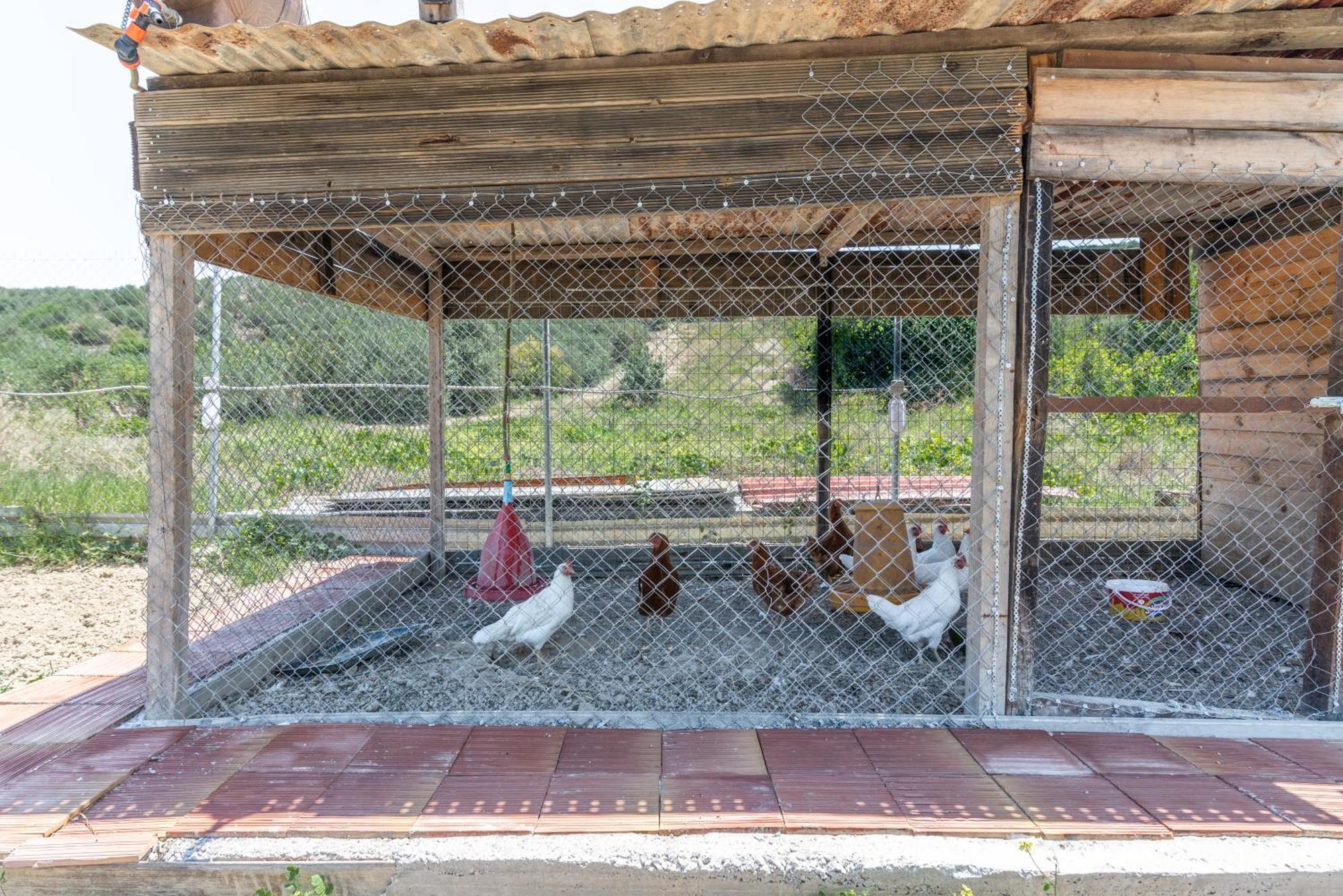 Countryhouse Villa With Pool & Private Parking Heraklion  Luaran gambar